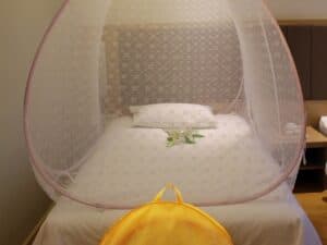 Mosquito Net With Stand