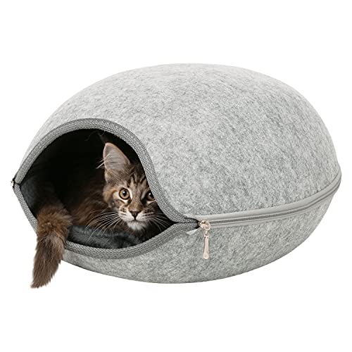 Cat House